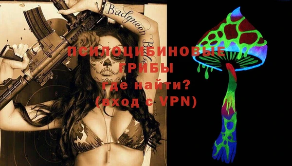 гашик Белоозёрский
