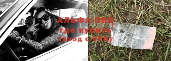 гашик Белоозёрский