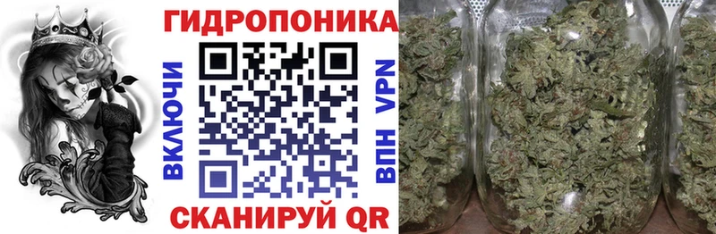 как найти закладки  Воронеж  Шишки марихуана THC 21% 